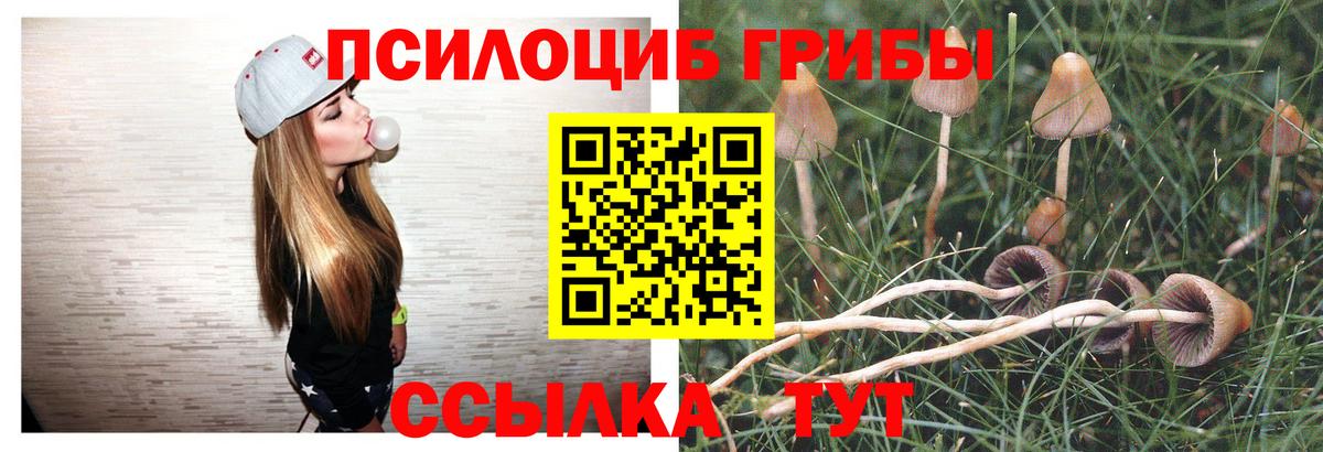 где можно купить   Псилоцибиновые грибы мухоморы  Псилоцибиновые грибы прущие грибы  Вход с VPN  Костомукша 